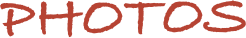             Photos